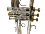 VALKARIE TRUMPET MARIACHI 502SG PRO BIG BELL SILVER ONE PIECE/BIG BELL