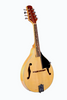 GLEN BURTON MDL-A1-NT A-STYLE MANDOLIN W/ GIG BAG