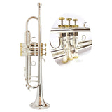 Valkyrie 502SG Bb Trumpet SILVER WITH CASE/ MARIACHERA PLATA ONE PIECE