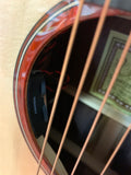 DON CORTEZ SONORA ACOUSTIC ELECTRIC GUITAR J876  PALO SANTO HAND MADE