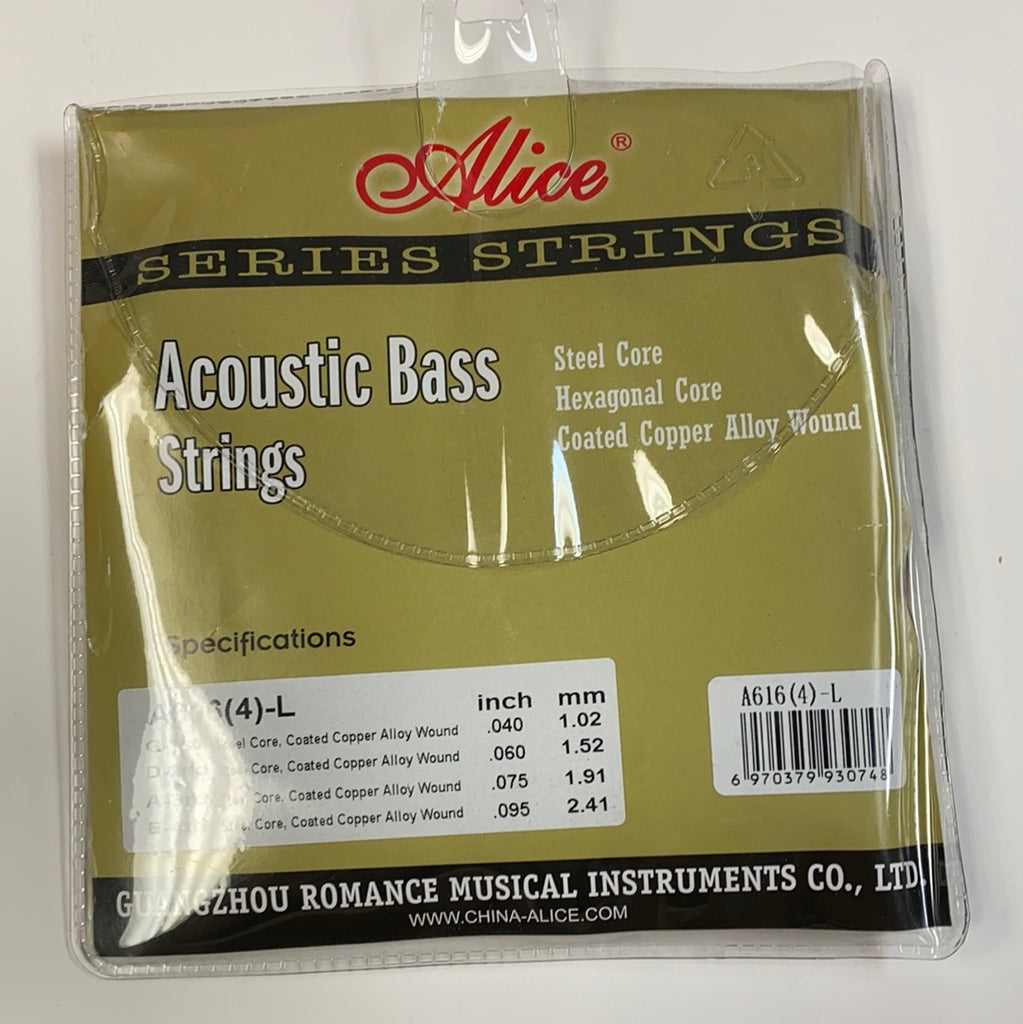 Acoustic Bass Strings – Us Music Store