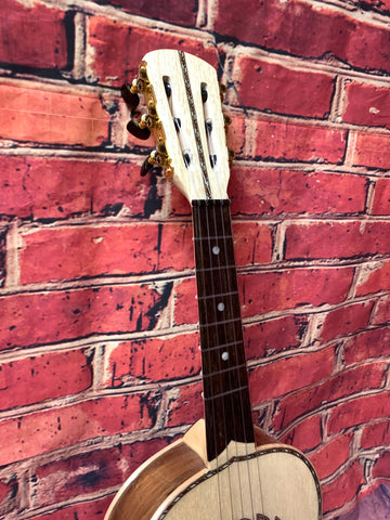 MEXICAN VIHUELA DON CORTEZ Professional PEROTA WOOD TG-2