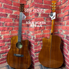 DON CORTEZ GUITAR Acoustic Electric Guitar SONORA J875  ACACIA WOOD