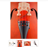 DOUBLE BASS CONTRABAJO PICKUP KNA DB-1