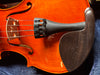 DON CORTEZ VIOLIN DC100 MAPLE 4/4 WITH OVAL CASE AND BOW,ROSIN