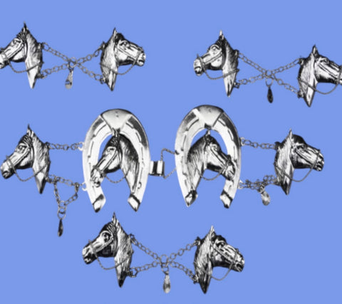 MARIACHI BOTONADURA MW36 PLATA BROCHE Y 60 PIESAS