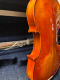 DON CORTEZ VIOLIN DC100 MAPLE 4/4 WITH OVAL CASE AND BOW,ROSIN