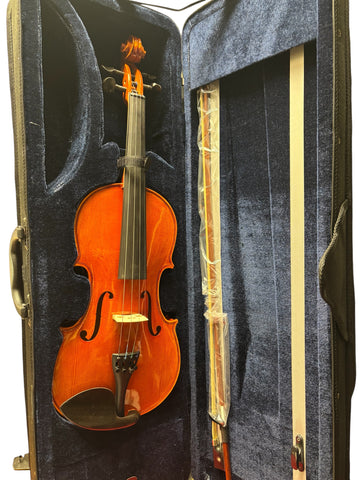 DON CORTEZ VIOLIN DC100 MAPLE 4/4 WITH OVAL CASE AND BOW,ROSIN