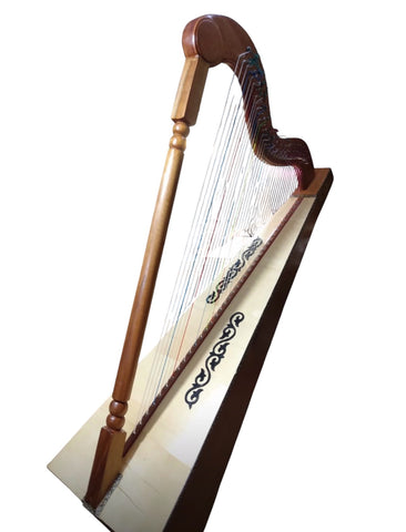 ARPA/ HARP JAROCHA GRANDE CP931 grande with gig bag