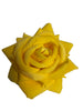 MARIACHI HAIR ROSE SMALL GM7 with Hair clip MIX AND MATCH