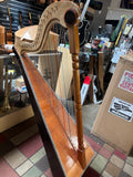 ARPA JAROCHA H1 w gig bag