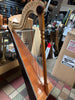 ARPA JAROCHA H1 w gig bag
