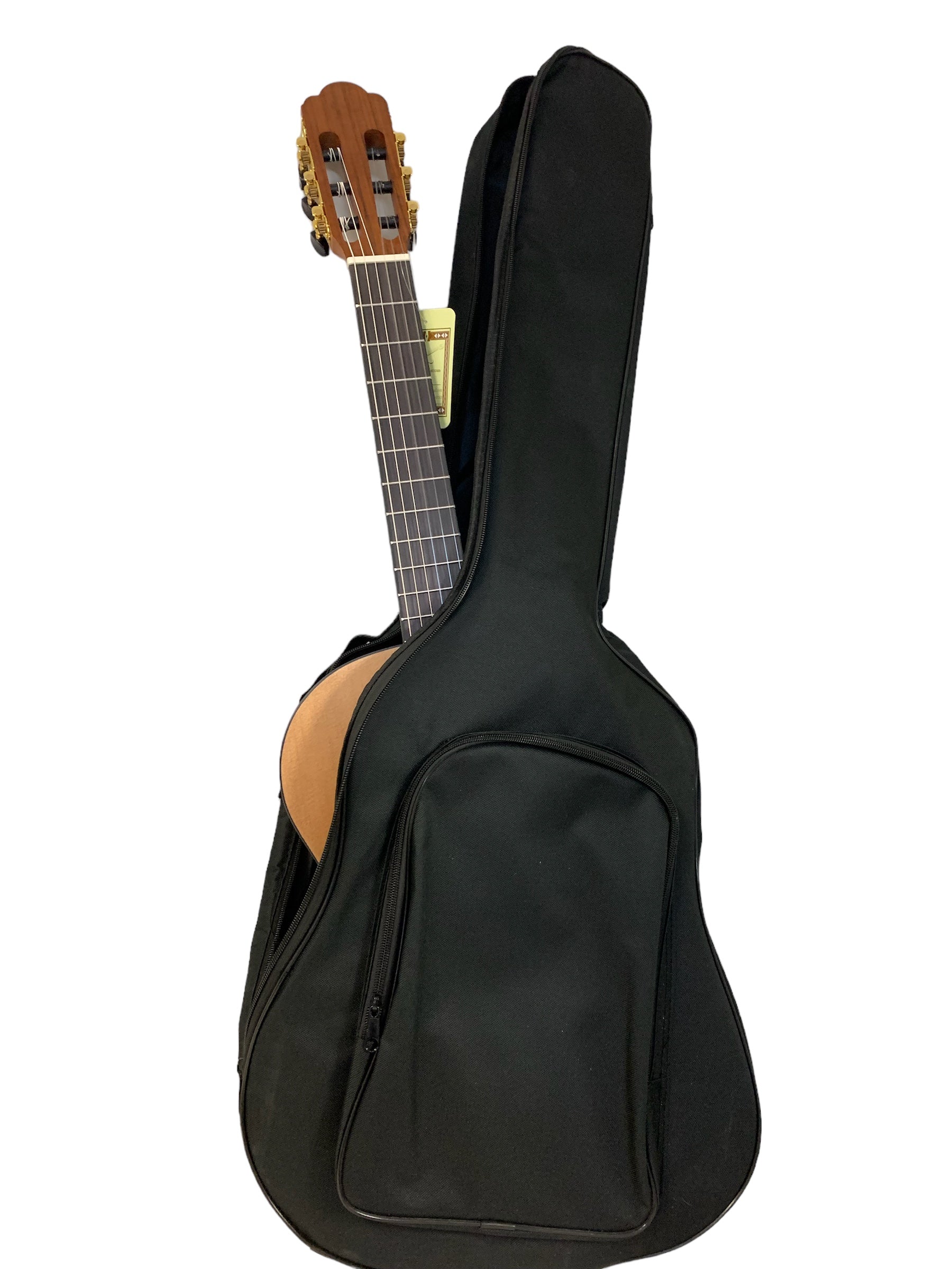 Common Guitar and Bag Size Examples