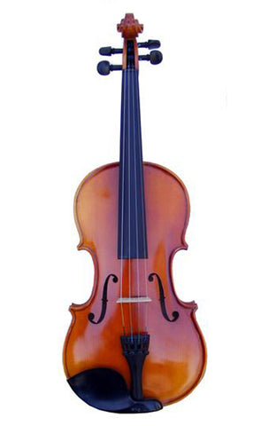 Full Size 4/4 Apprentice VIAP44 Violin Ensemble