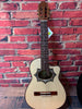 REQUINTO Palo escrito  GRAN CONCIERTO L45 WITH CASE, FISHMANN COMBO TAG100